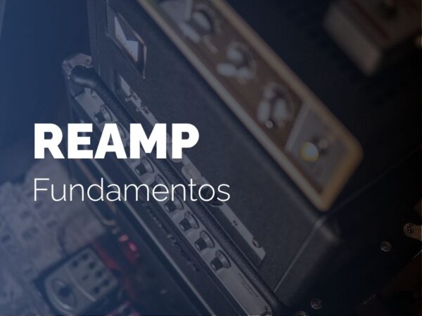 Fundamentos de reamplificación