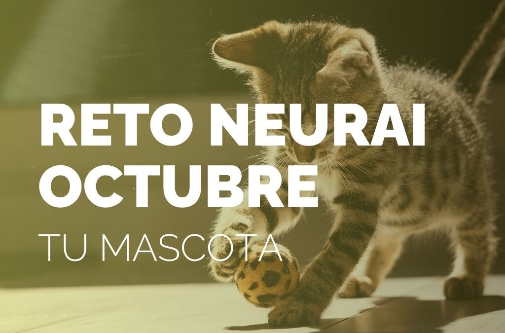 RETO NEURAI | OCTUBRE