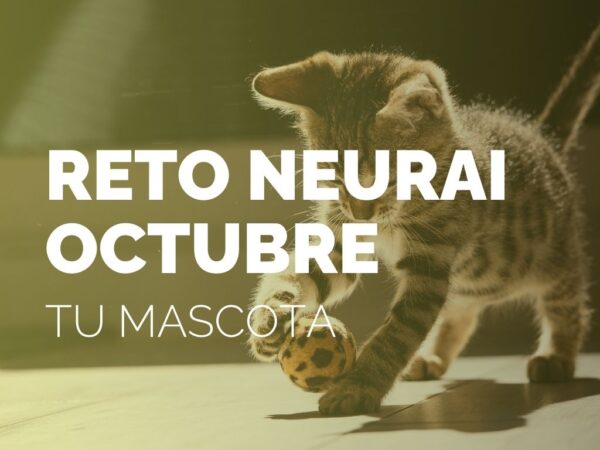 RETO NEURAI | OCTUBRE