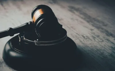 Actualización sobre Udio: ¿Cuántas Grabaciones Usó su IA?